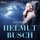 Stormen af Helmut Busch