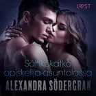 Sähkökatko opiskelija-asuntolassa - eroottinen novelli