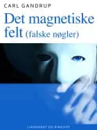 Det magnetiske felt (falske nøgler)