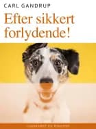 Efter sikkert forlydende!