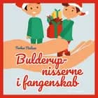 Bulderup-nisserne i fangenskab af Torben Nielsen