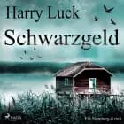 Schwarzgeld - Ein Starnberg-Krimi af Harry Luck