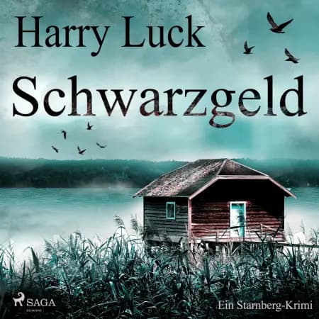 Schwarzgeld - Ein Starnberg-Krimi af Harry Luck