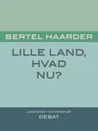 Lille land, hvad nu?