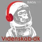 Videnskab.dk #24 - Fup og fakta om superfoods og gluten