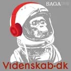 Videnskab.dk #32 - 18-årige Grith forsker i kur mod Alzheimers i sin fritid
