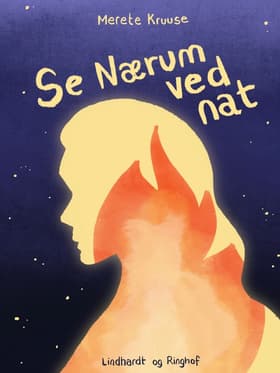 Se Nærum ved nat af Merete Kruuse