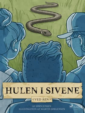 Hulen i sivene af Jørn Jensen