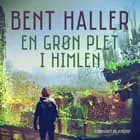 En grøn plet i himlen af Bent Haller