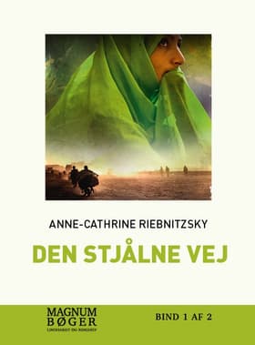 Den stjålne vej af Anne-Cathrine Riebnitzsky