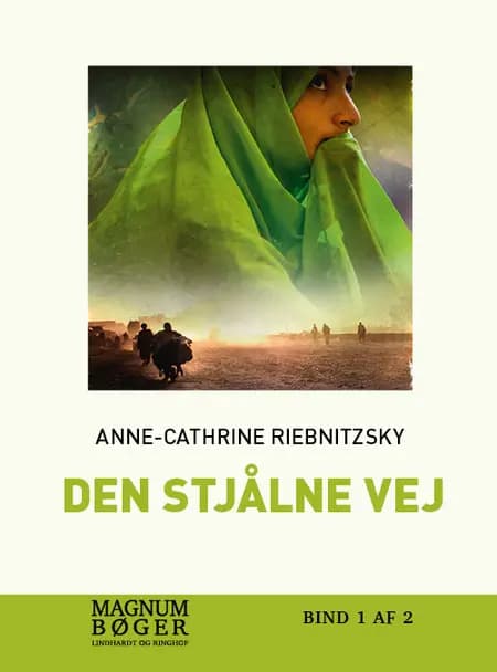 Den stjålne vej af Anne-Cathrine Riebnitzsky