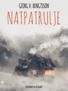 Natpatrulje af Georg V. Bengtsson