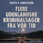 Flere udenlandske kriminalsager fra vor tid af Georg V. Bengtsson