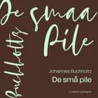 De små pile af Johannes Buchholtz