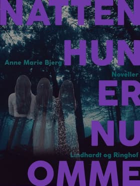 - natten hun er nu omme af Anne marie Bjerg