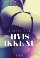 Hvis ikke nu – erotisk roman