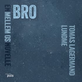 Bro af Tomas Lagermand Lundme