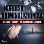 Dramat i Knutby - en osannolik sannsaga 