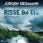 Risse im Eis: Ein Ostfriesen-Krimi af Jürgen Siegmann