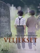 Veljekset af Karl Jacob Gummerus