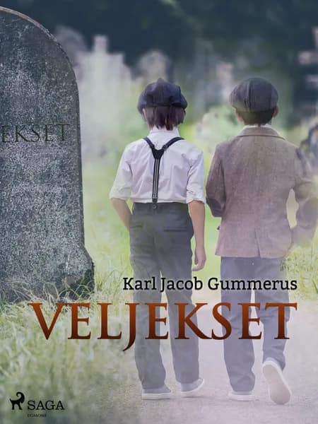 Veljekset af Karl Jacob Gummerus
