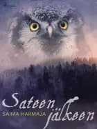 Sateen jälkeen af Saima Harmaja