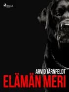 Elämän meri af Arvid Järnefelt