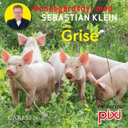 Bondegårdens dyr med Sebastian Klein: Grise af Sebastian Klein