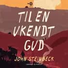 Til en ukendt gud