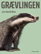 Grævlingen
