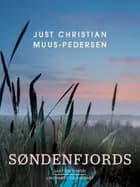 Søndenfjords