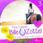 Bille und Zottel 3: Mit einem Pferd durch dick und dinn