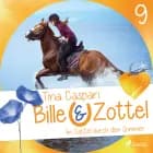 Bille und Zottel 9: Im Sattel durch den Sommer