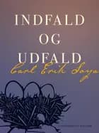 Indfald og udfald