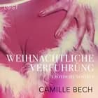 Weihnachtliche Verführung: Erotische Novelle