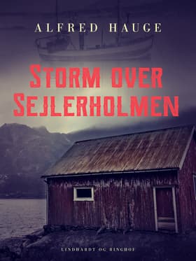 Storm over Sejlerholmen af Alfred Hauge