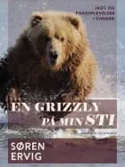 En grizzly på min sti