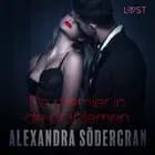 De premier in de problemen - erotisch verhaal af Alexandra Södergran