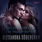 Stroomstoring in de studentenflat - erotisch verhaal af Alexandra Södergran