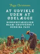 At udvikle uden at ødelægge. Bondebevægelsen Naam-grupperne i Burkina Faso