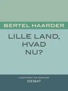 Lille land, hvad nu?