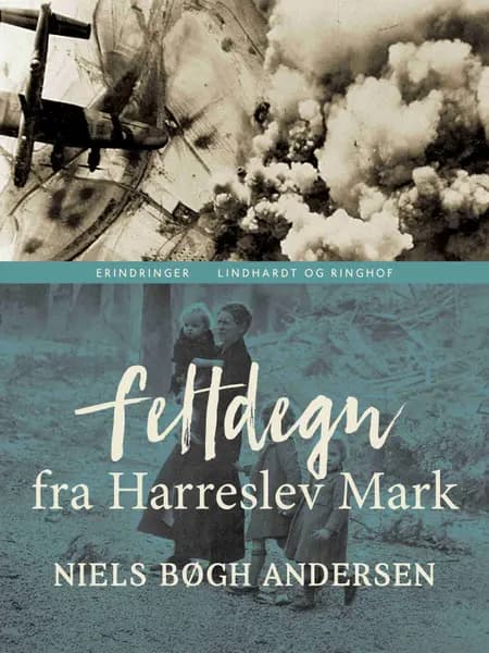 Feltdegn fra Harreslev Mark af Niels Bøgh Andersen