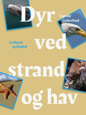 Dyr ved strand og i hav af Ingvald Lieberkind