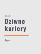 Dziwne kariery