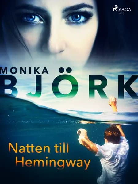 Natten till Hemingway af Monika Björk
