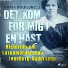 Det kom för mig i en hast - Historien om barnamörderskan Ingeborg Andersson af Maria Bouroncle