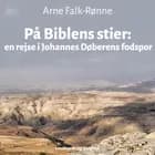 På Biblens stier af Arne Falk-Rønne