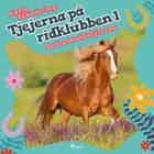 Tjejerna på ridklubben 1 - De tre musketörerna af Karla Schniering