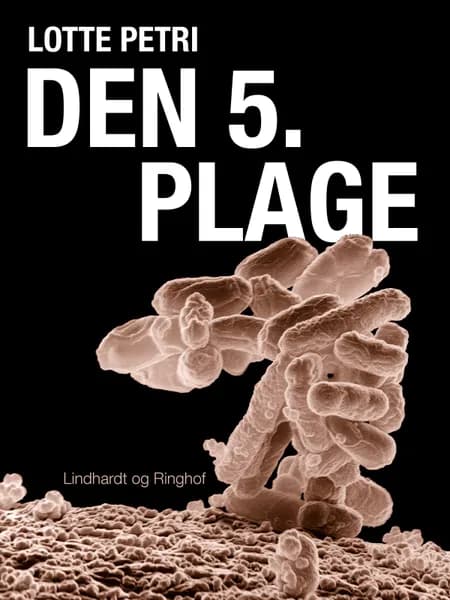 Den 5. plage af Lotte Petri