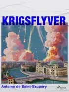 Krigsflyver
